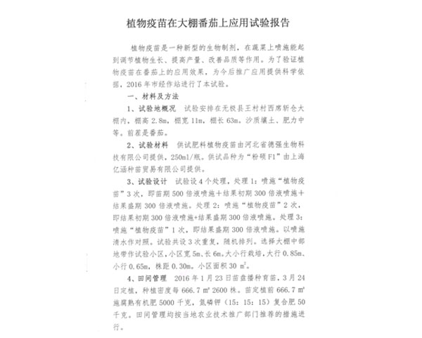 沃丰隆,沃丰地宝,金斗耘番茄增产报告