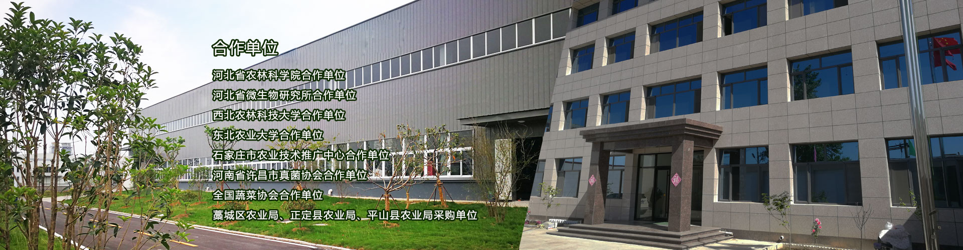 http://www.hbdeqiang.com/data/upload/202306/20230605221528_416.jpg